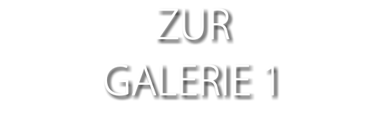 ZUR GALERIE 1